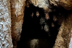 IMG_0813-JA