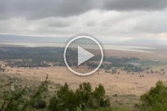 Ngorongoro