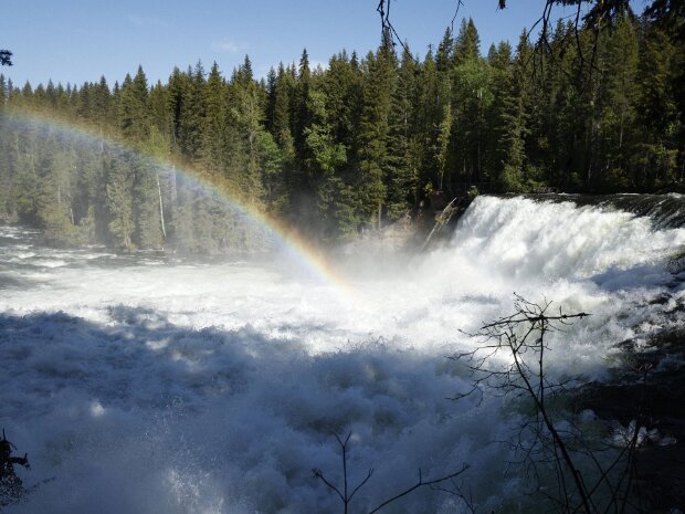 Wells Gray